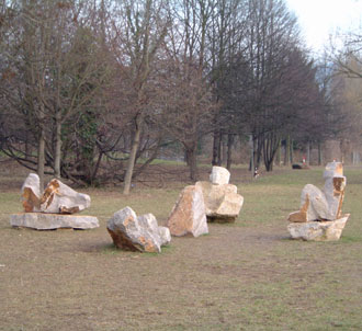 on the Neckarwiese in Heidelberg