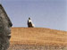 Anordnung dreier Skulpturen in Wüste